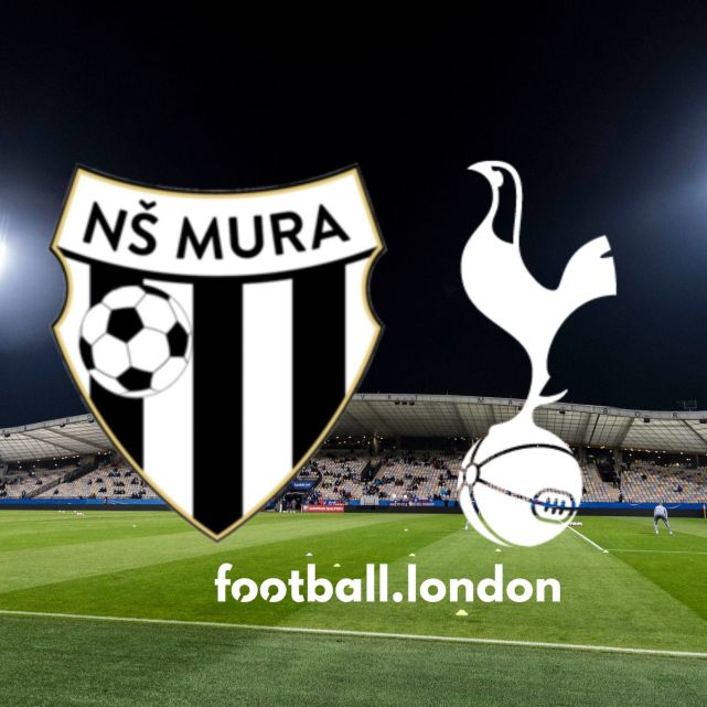  热刺反击犀利刀刀见血，快速推进撕破对手防线